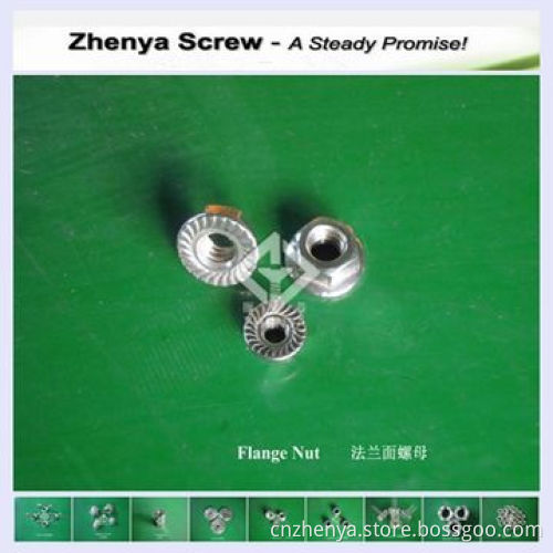 Stainless Steel Flange Nut